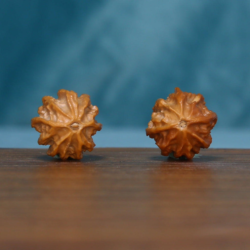 Alternate base view of the L43 Autumn Ridge wenwan walnut pair
