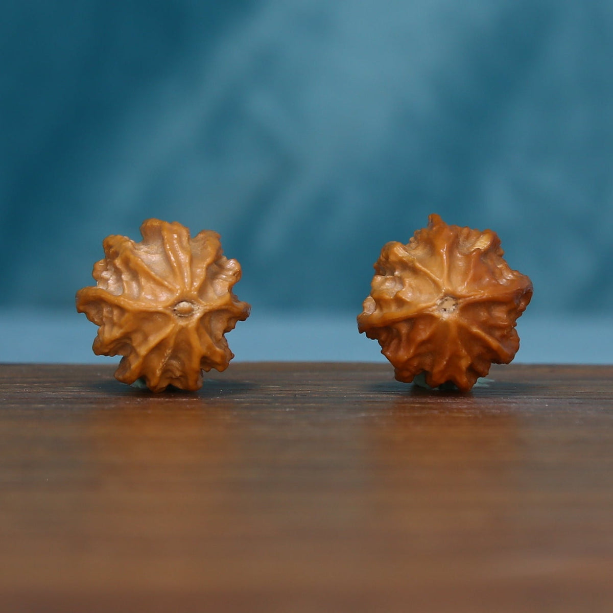 Alternate base view of the L43 Autumn Ridge wenwan walnut pair
