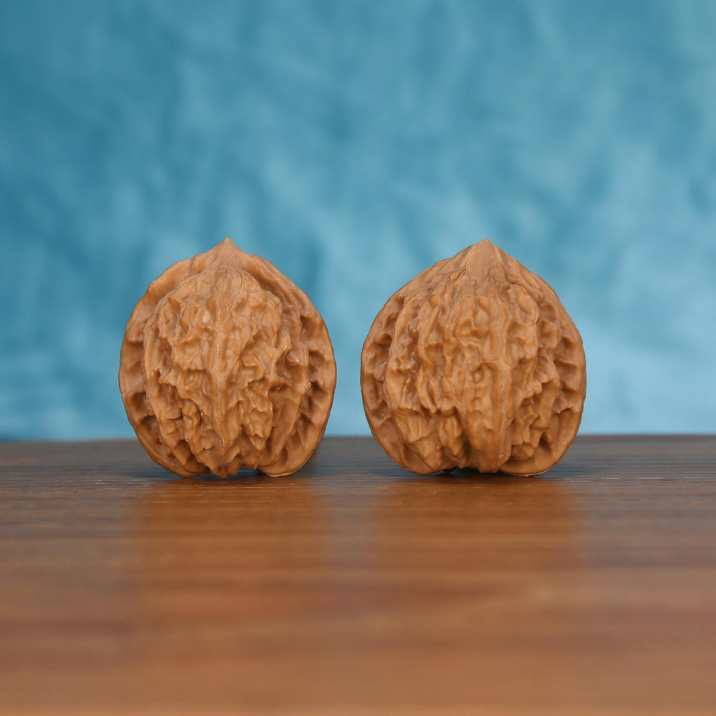 Pair of wenwan walnuts with bold raised ridge pattern, front view on wooden surface with blue background
