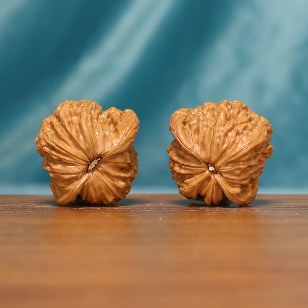 L17 Wenwan walnut pair shown from below, highlighting the natural base patterns and radiating ridges.
