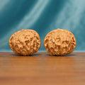 Front view of The Amber Drum Wenwan Walnut Set with two low-profile rounded walnuts and dense natural texture.
