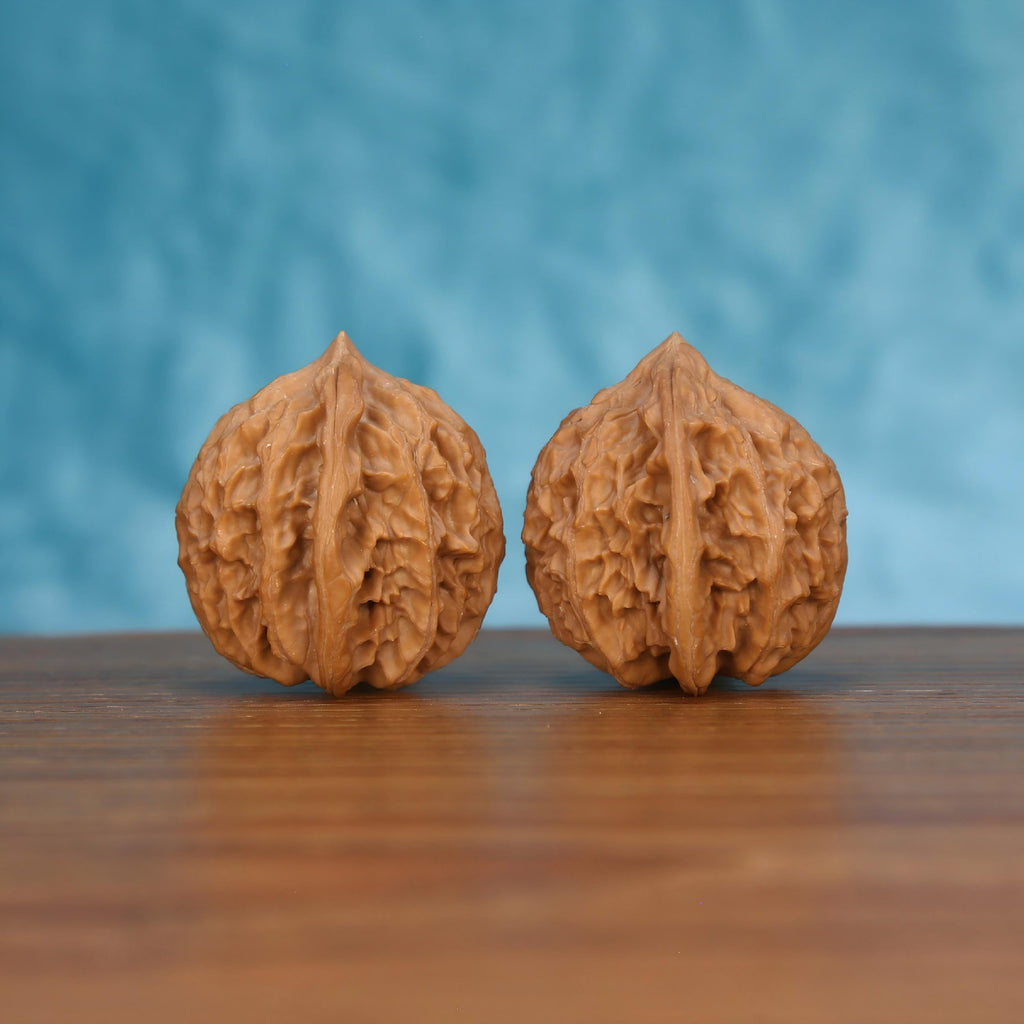Pair of wenwan walnuts showing vertical seam and layered surface texture, front view on wooden surface with blue background
