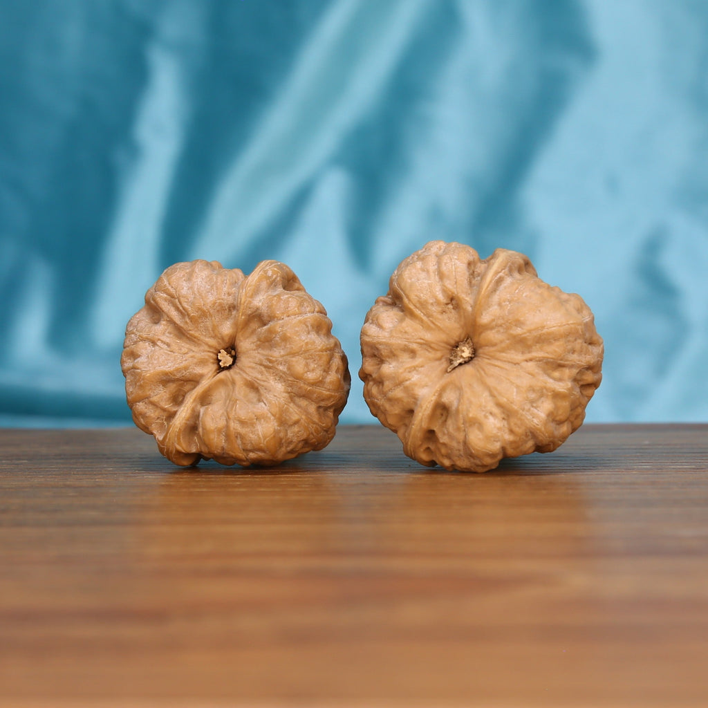 Ha-Ma-Tou walnut pair bottom view on wood – natural flat base pattern, Zen Hemisphere premium set
