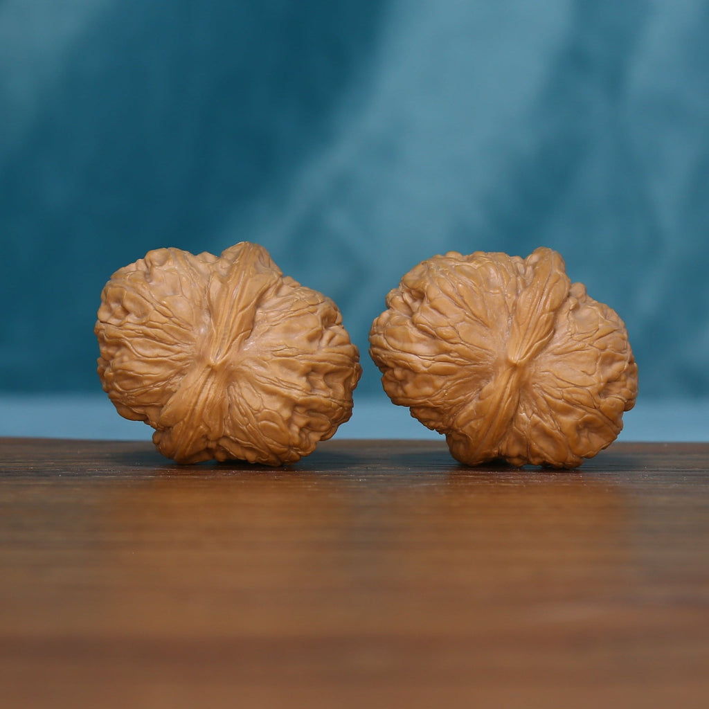 Side view of two L42 Layered Crest wenwan walnuts with layered tan ridges
