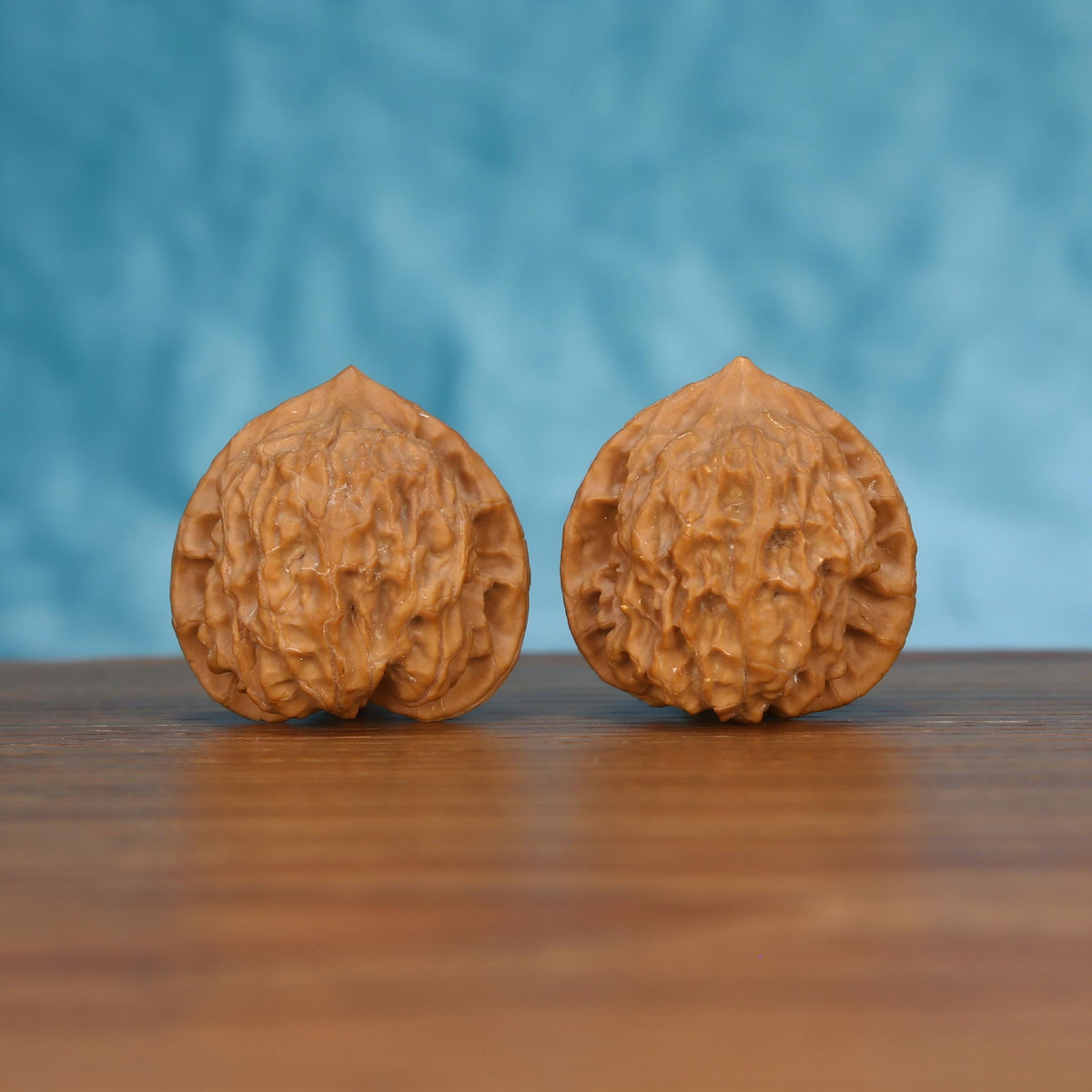 Pair of wenwan walnuts with deeply carved open wrinkled surface and tall heart-shaped form with pointed tip, front view on wooden surface with blue background
