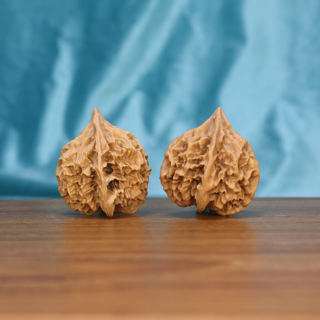 Di-Wang walnut side profile on wood, blue background – elongated spire shape and ridge detail