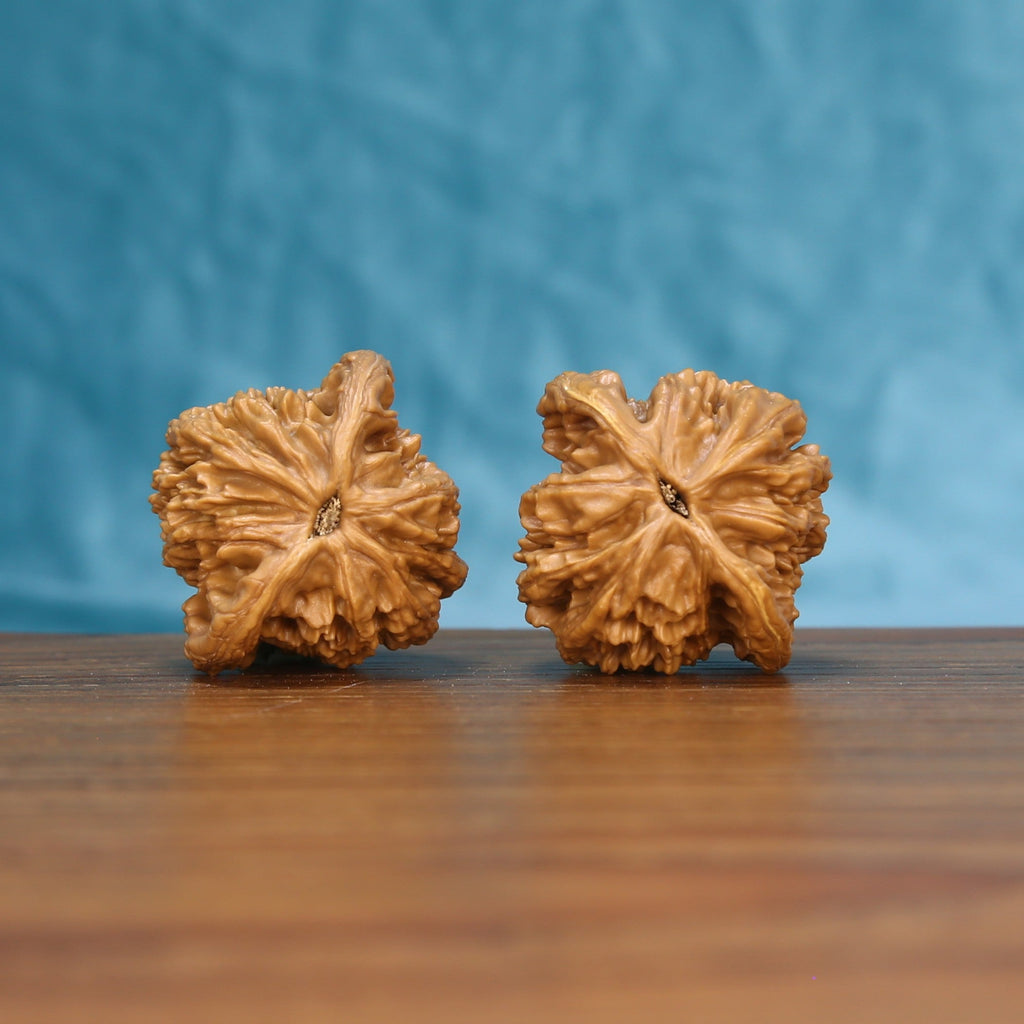 Bottom view of a matched Wheat Tiger Wenwan walnut pair showing natural base details
