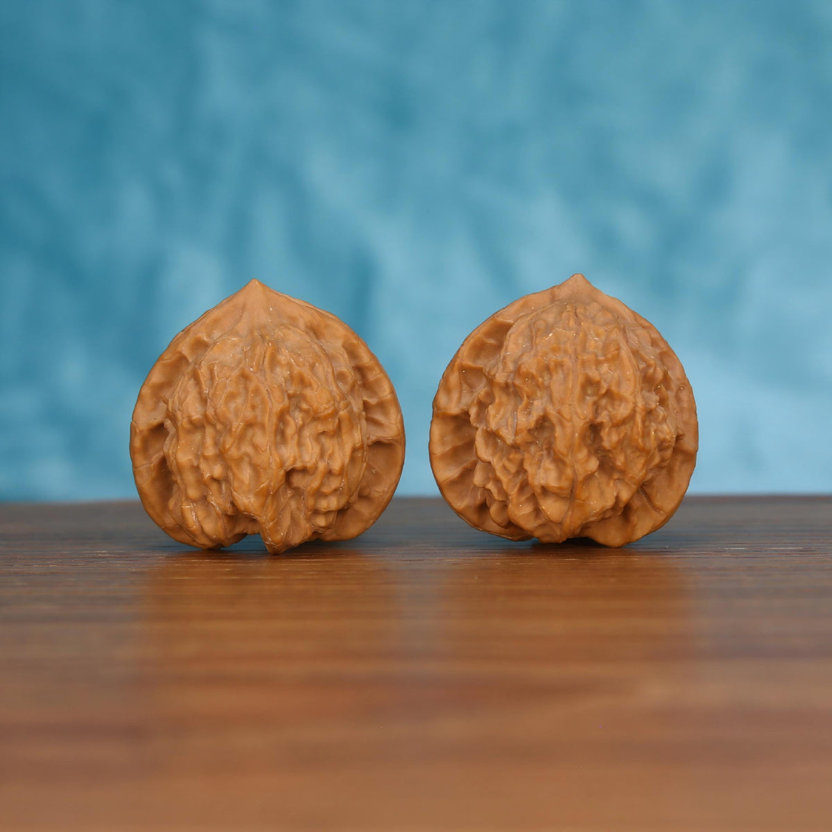 Pair of wenwan walnuts with coarsely ruffled wrinkled surface and wide rounded form with pointed tip, front view on wooden surface with blue background
