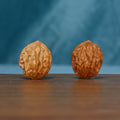 Pair of L39 Ember Crest wenwan walnuts standing upright with lengthwise grooves
