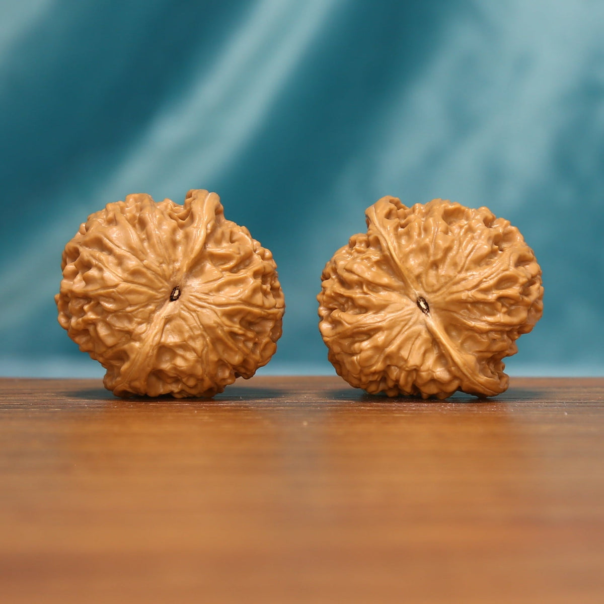 Bottom view of The Amber Drum Wenwan Walnuts displaying their distinctive ridged surfaces and natural variation.
