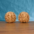 Pair of General wenwan walnuts with bold high-relief ridges on a wood table against a blue background
