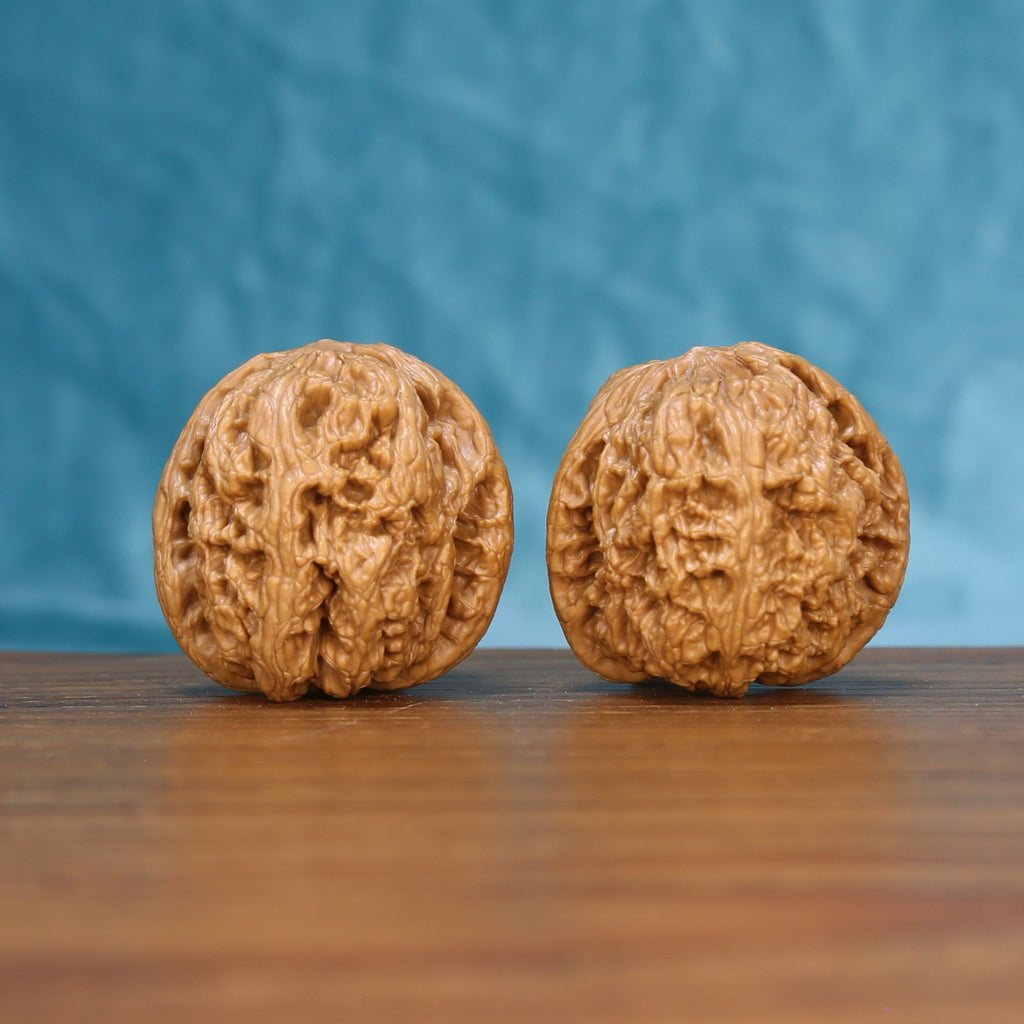 General wenwan walnut pair 6034 shown side by side, front view of the broad upright form
