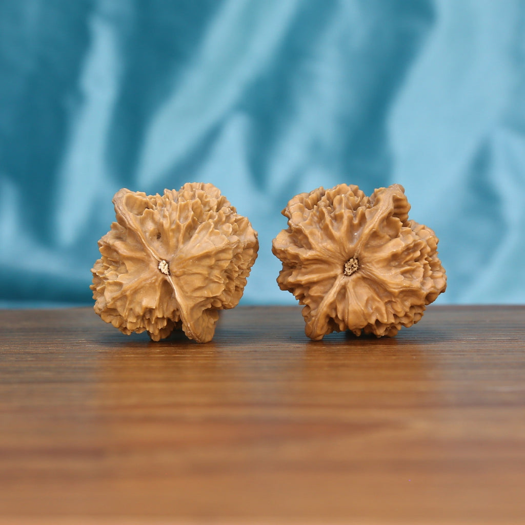 Di-Wang walnut pair bottom view on wood – natural crown-shaped ridge pattern, Sovereign Spire set