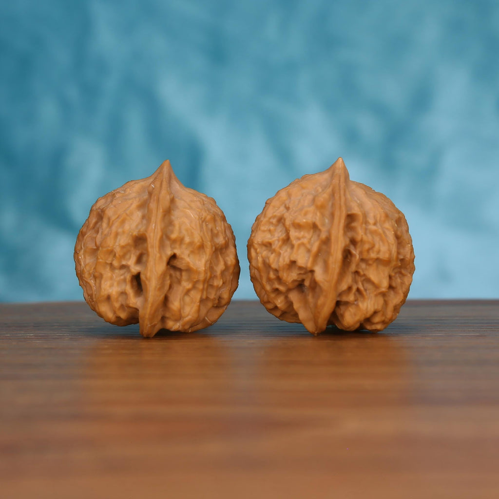 Pair of wenwan walnuts with sharp pointed tip and prominent vertical seam, coarsely carved open wrinkled lobes and broad rounded form, side view on wooden surface with blue background
