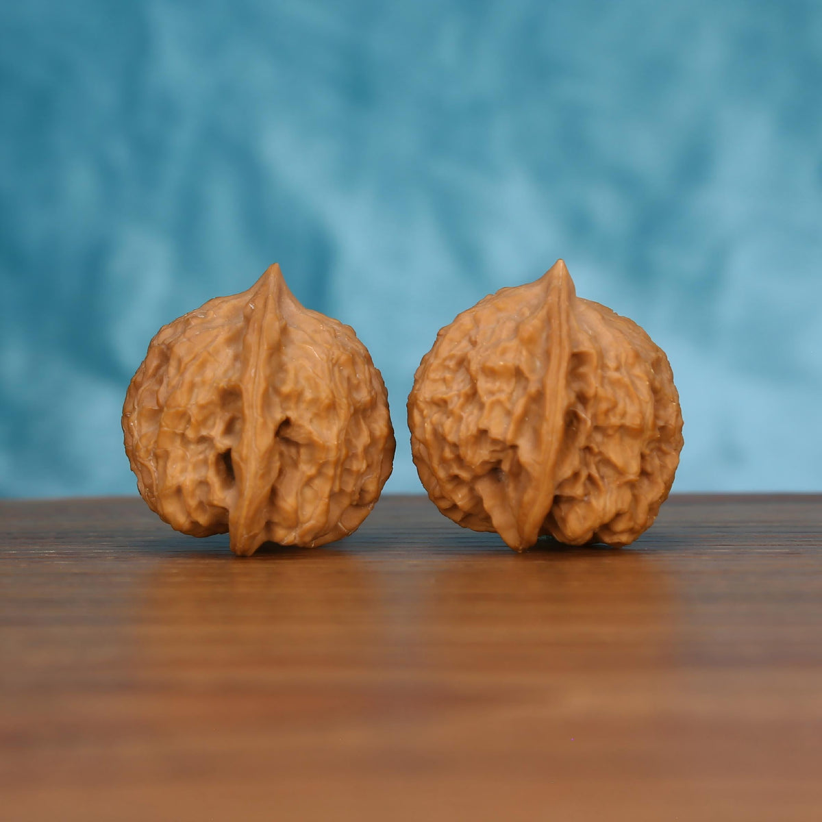 Pair of wenwan walnuts with sharp pointed tip and prominent vertical seam, coarsely carved open wrinkled lobes and broad rounded form, side view on wooden surface with blue background
