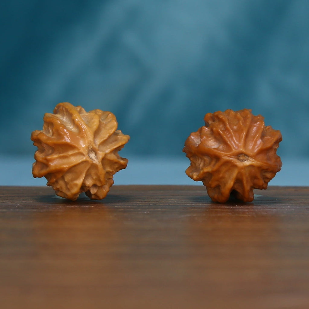 Alternate base view of the L39 Ember Crest wenwan walnut pair
