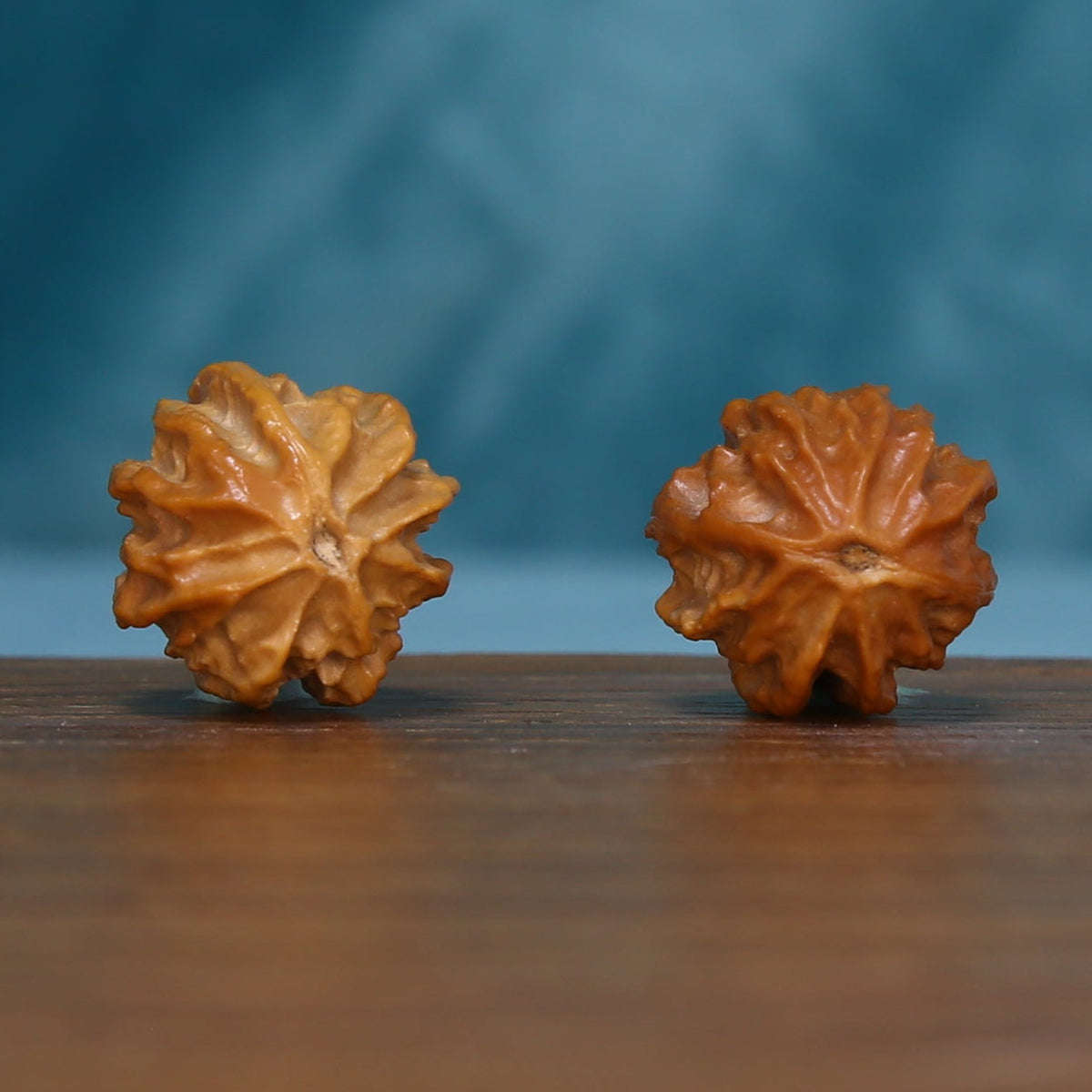 Alternate base view of the L39 Ember Crest wenwan walnut pair
