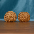 Pair of S45 White Lion wenwan walnuts with deep grooves and raised tan ridges
