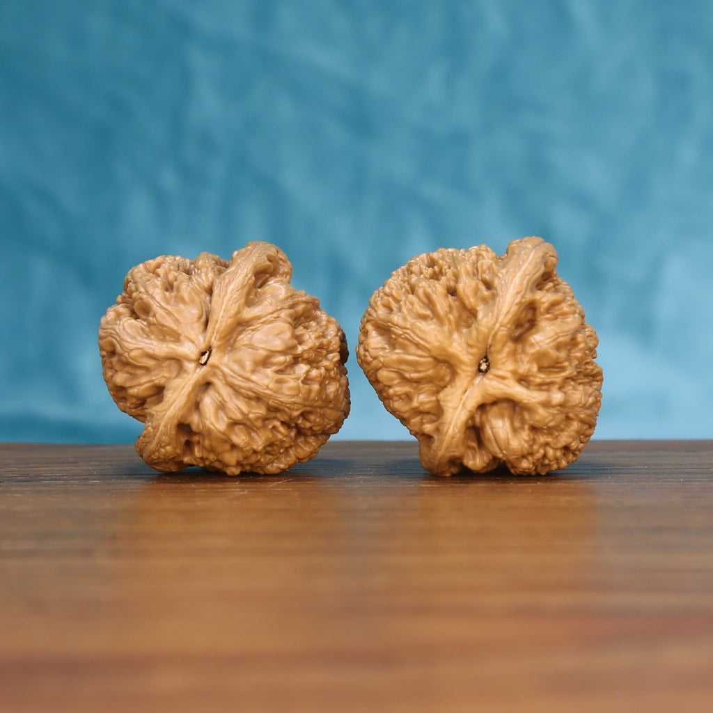 Top view of the General wenwan walnut pair 6034, showing the star-shaped ridged crown of each walnut

