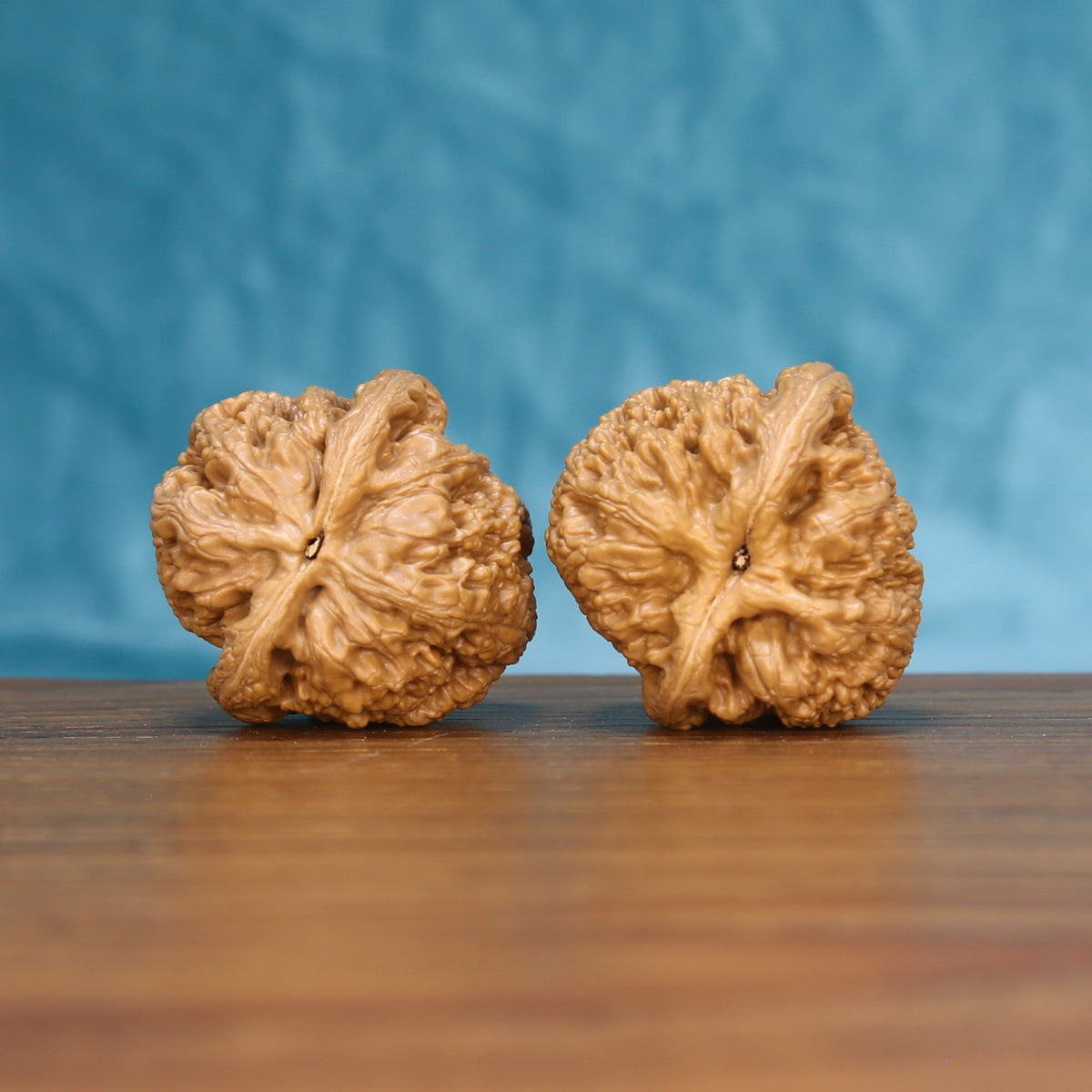 Top view of the General wenwan walnut pair 6034, showing the star-shaped ridged crown of each walnut
