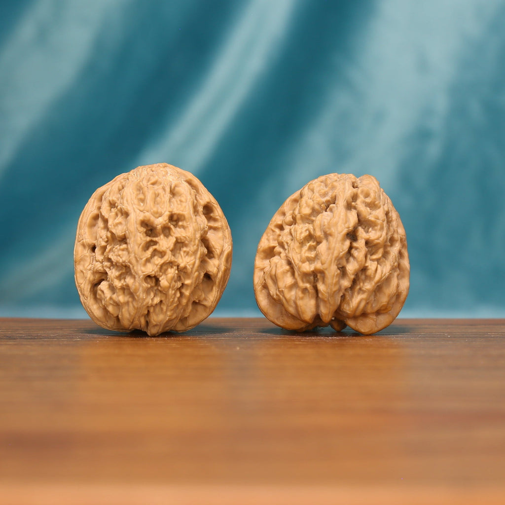 Angled front view of Lion Head Wenwan walnuts showing their warm color and sculptural texture.
