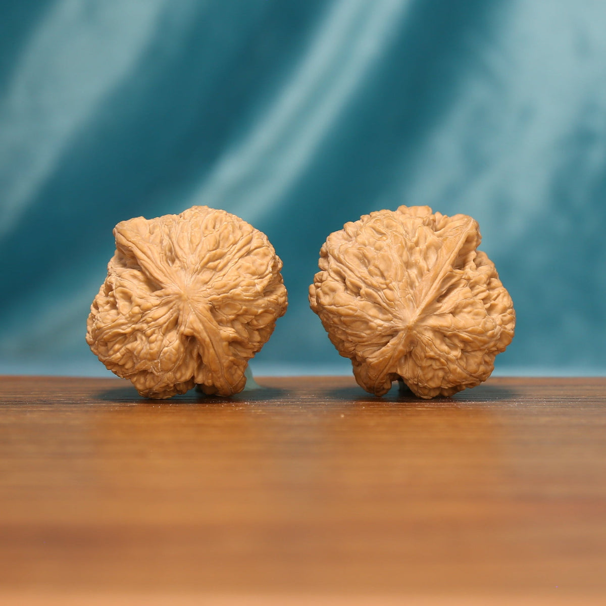Rear view of a Lion Head Wenwan walnut pair with symmetrical forms and richly textured surfaces.
