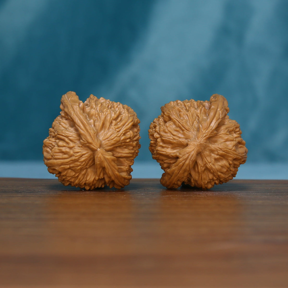 Opposite side view of two S45 White Lion wenwan walnuts
