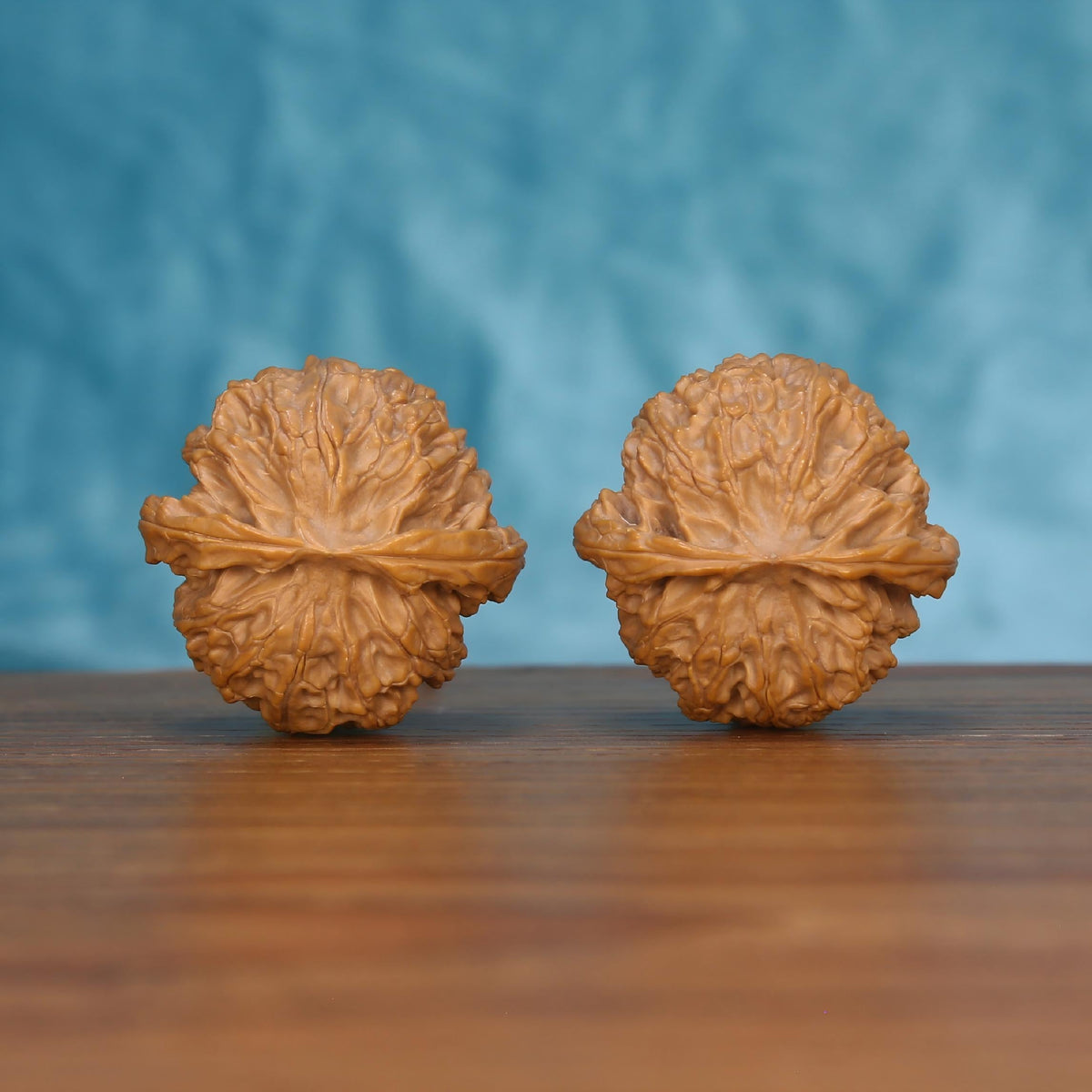 CWY10 Wu-Ming walnut pair by mistbodhi, top view showing petal-like crown texture and natural wabi-sabi form
