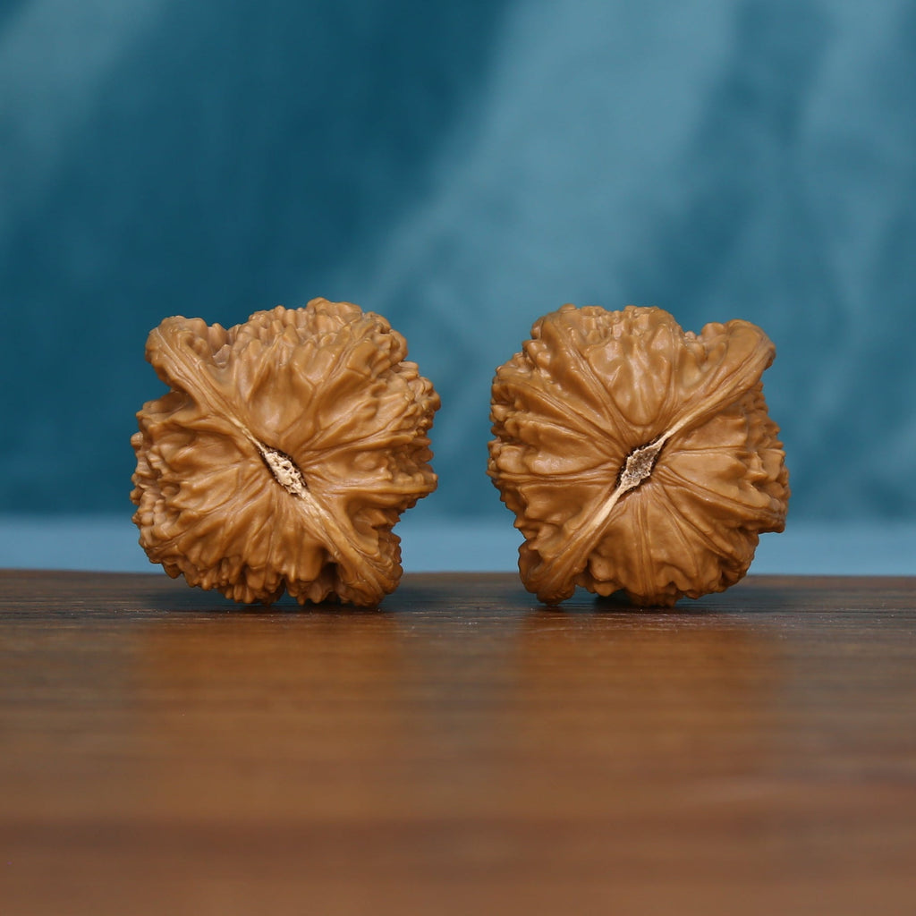 Base view of the S45 White Lion wenwan walnut pair showing radiating grooves
