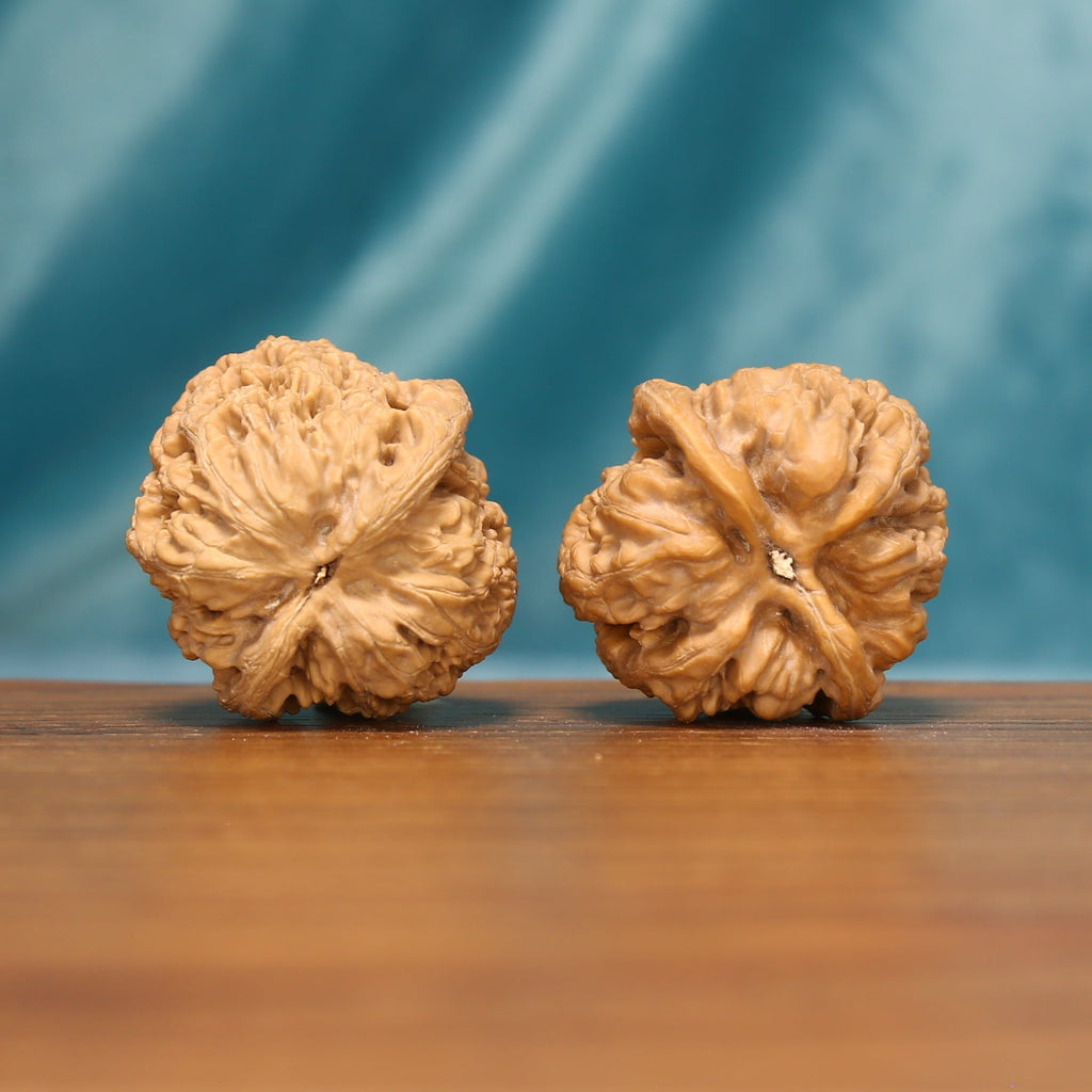 Bottom view of Lion Head Wenwan walnuts showing their distinctive ridged shapes and natural variation.
