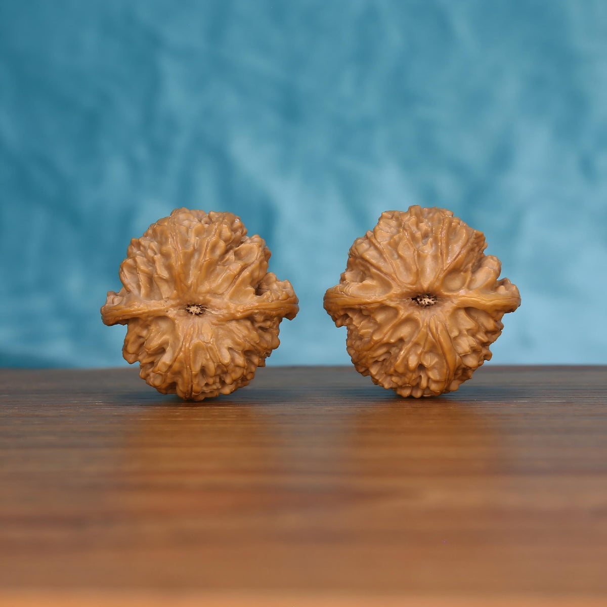 CWY10 Wu-Ming walnut pair by mistbodhi, bottom view displaying stem node and radiating natural grain
