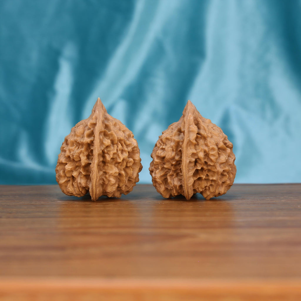 Guan-Mao walnut pair side view – acoustic resonance and full-handed grip for stress relief