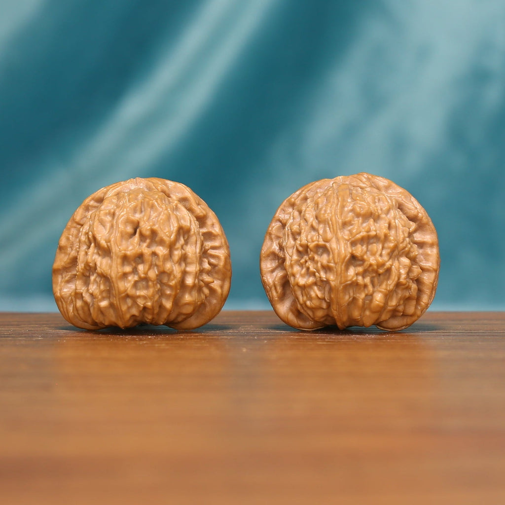 Angled front view of Tiger Head Wenwan walnuts showing their warm natural color and textured surfaces.
