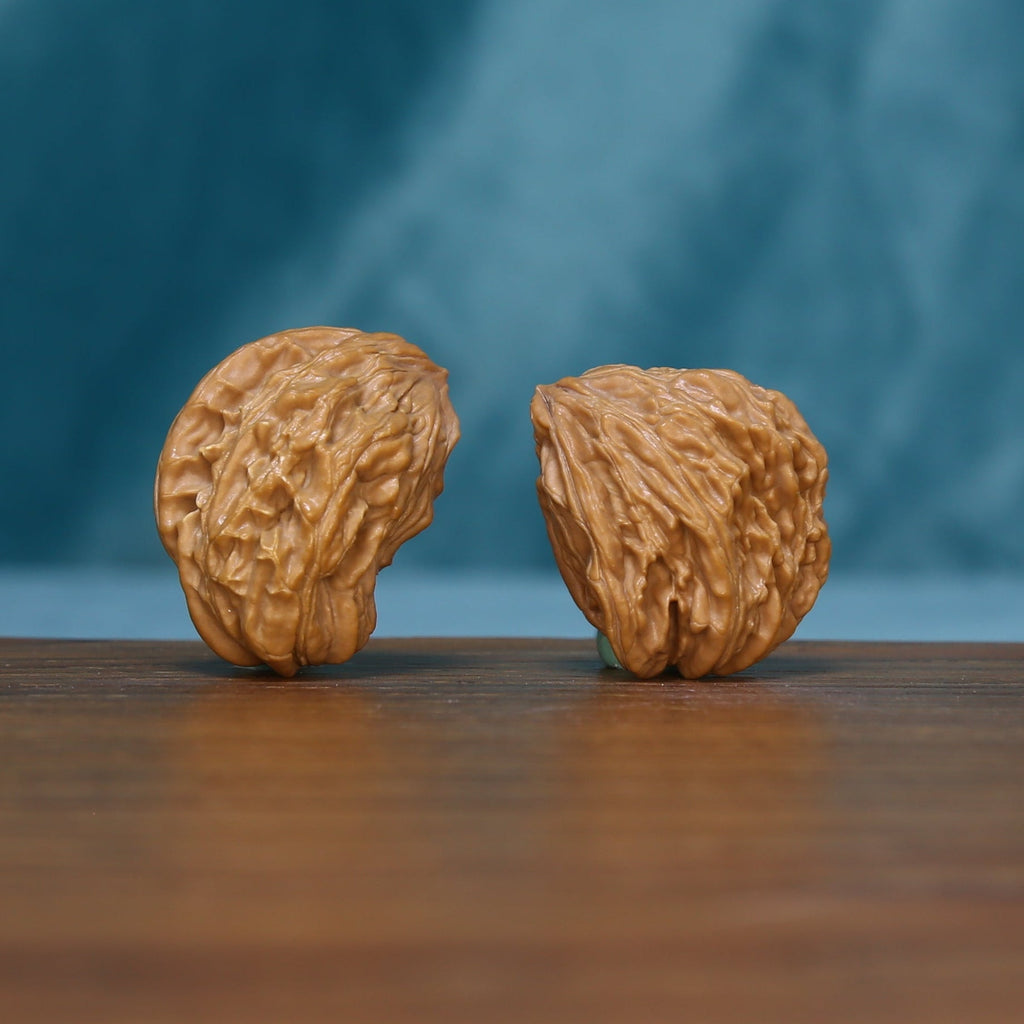 1789 wenwan walnut pair standing upright with textured tan shells
