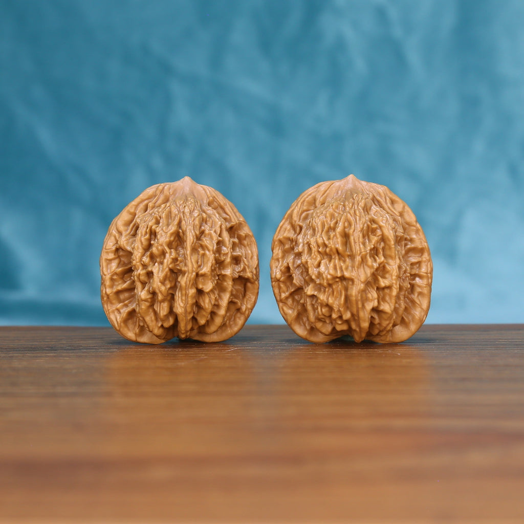 Pair of Wheat Tiger Wenwan walnuts standing upright on a wooden surface against a blue background

