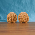 Pair of Wheat Tiger Wenwan walnuts standing upright on a wooden surface against a blue background
