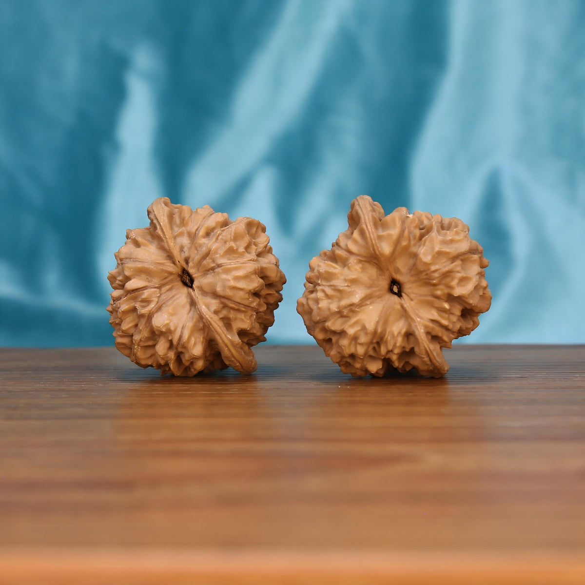 Majestic Crown walnut set by mistbodhi – wild-harvested botanical anchor for mindfulness ritual