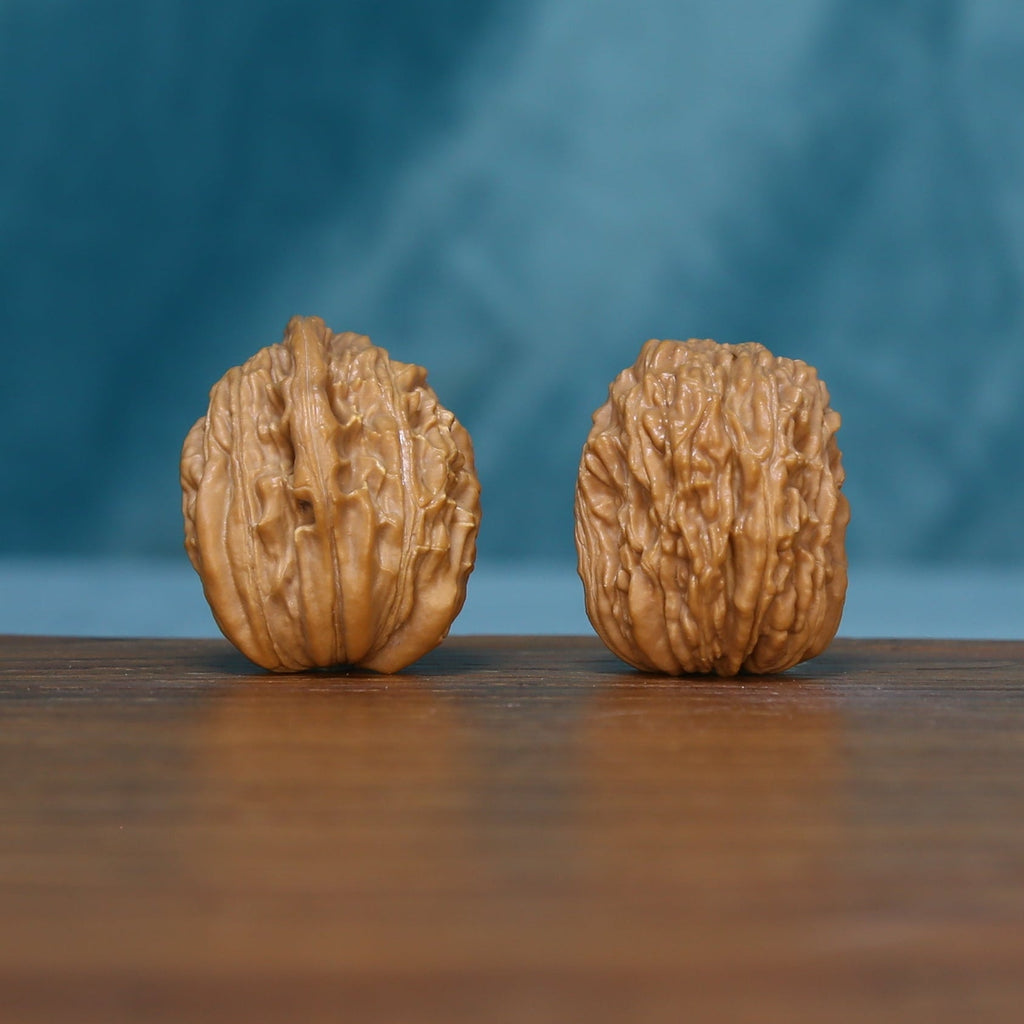 Two 1789 wenwan walnuts standing upright with lengthwise grooves
