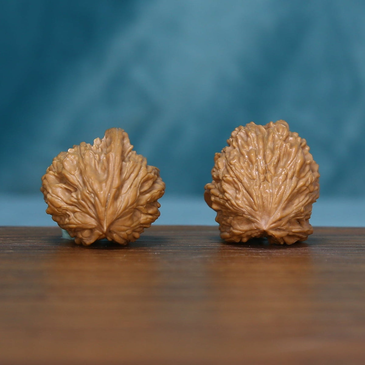 1789 wenwan walnut pair showing ridges converging toward one end
