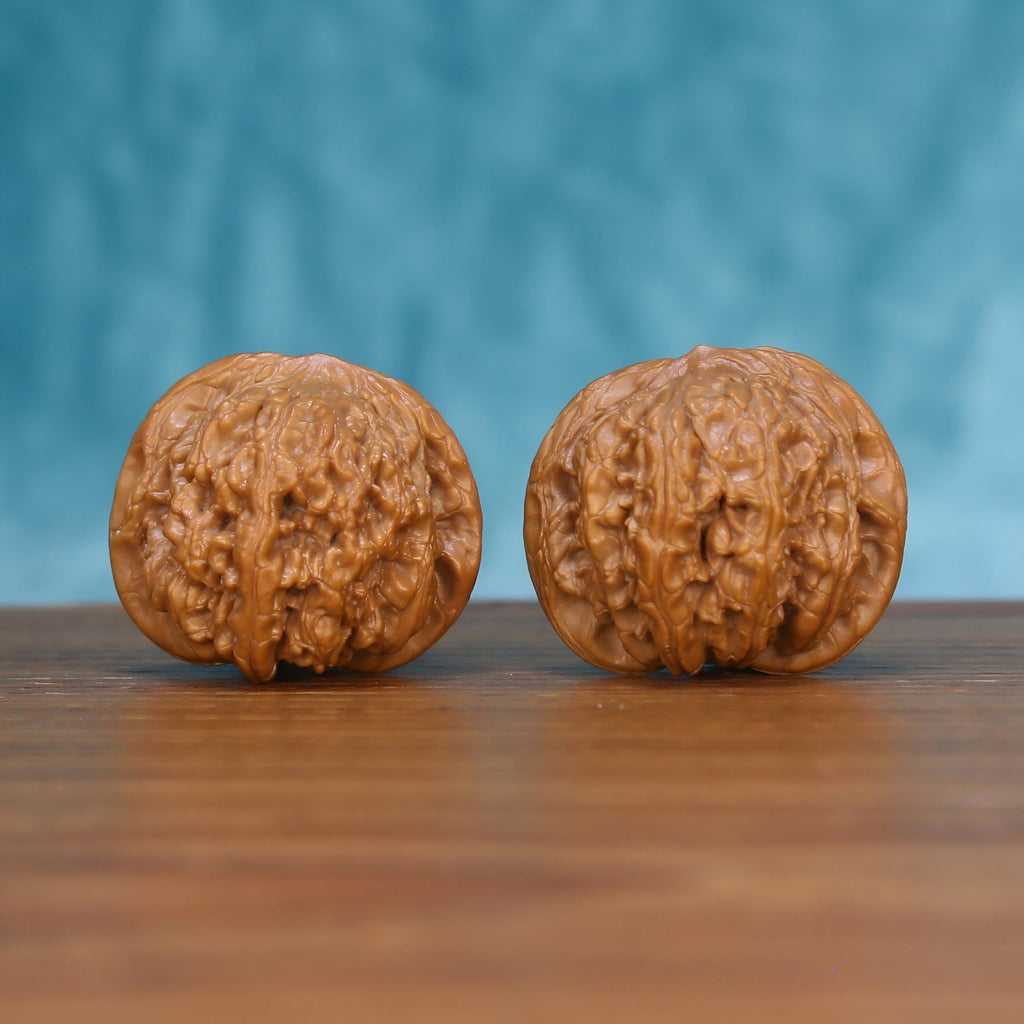 Wu-Ming wild walnut set side profile on wood, blue background – silent enigma natural grain detail