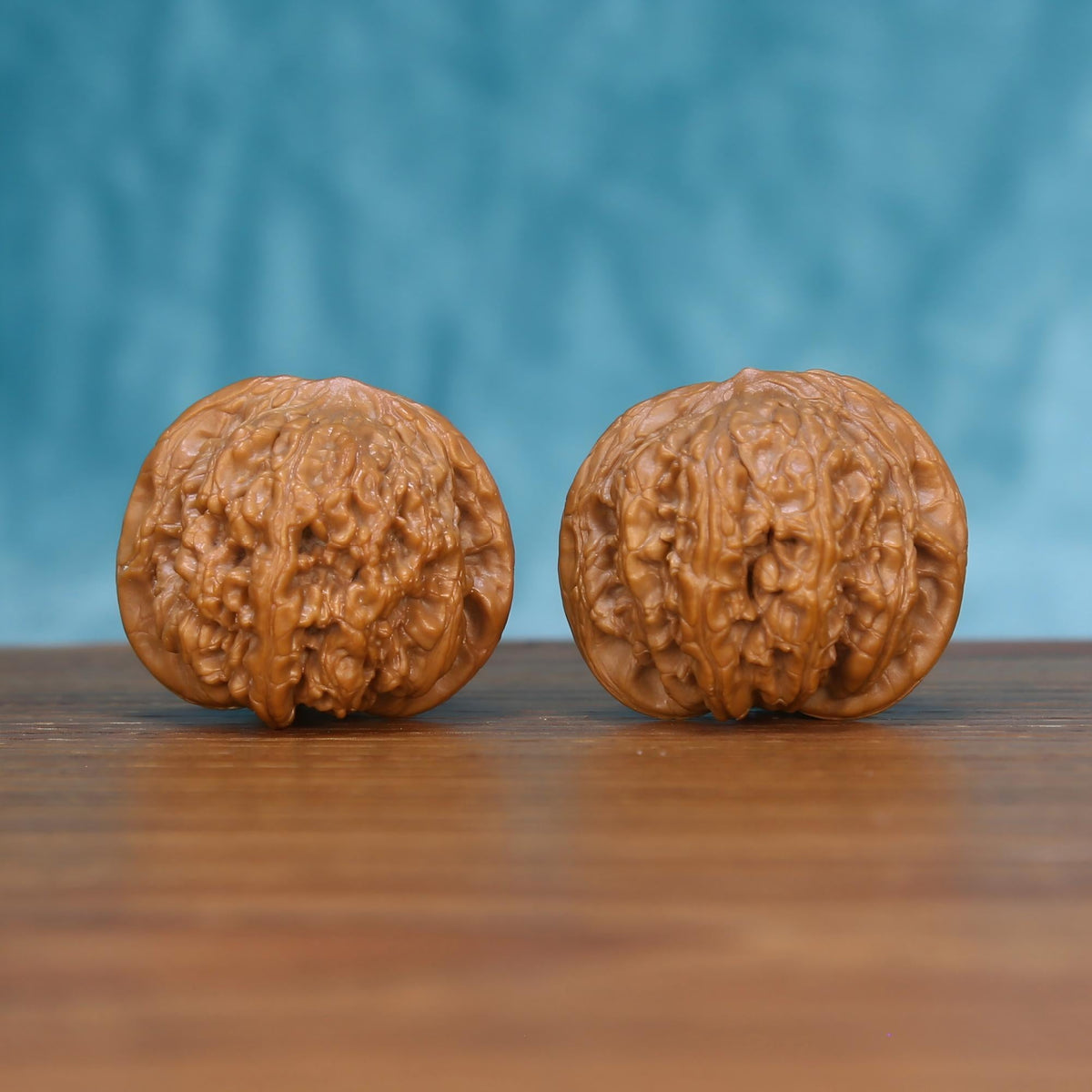 Wu-Ming wild walnut set side profile on wood, blue background – silent enigma natural grain detail