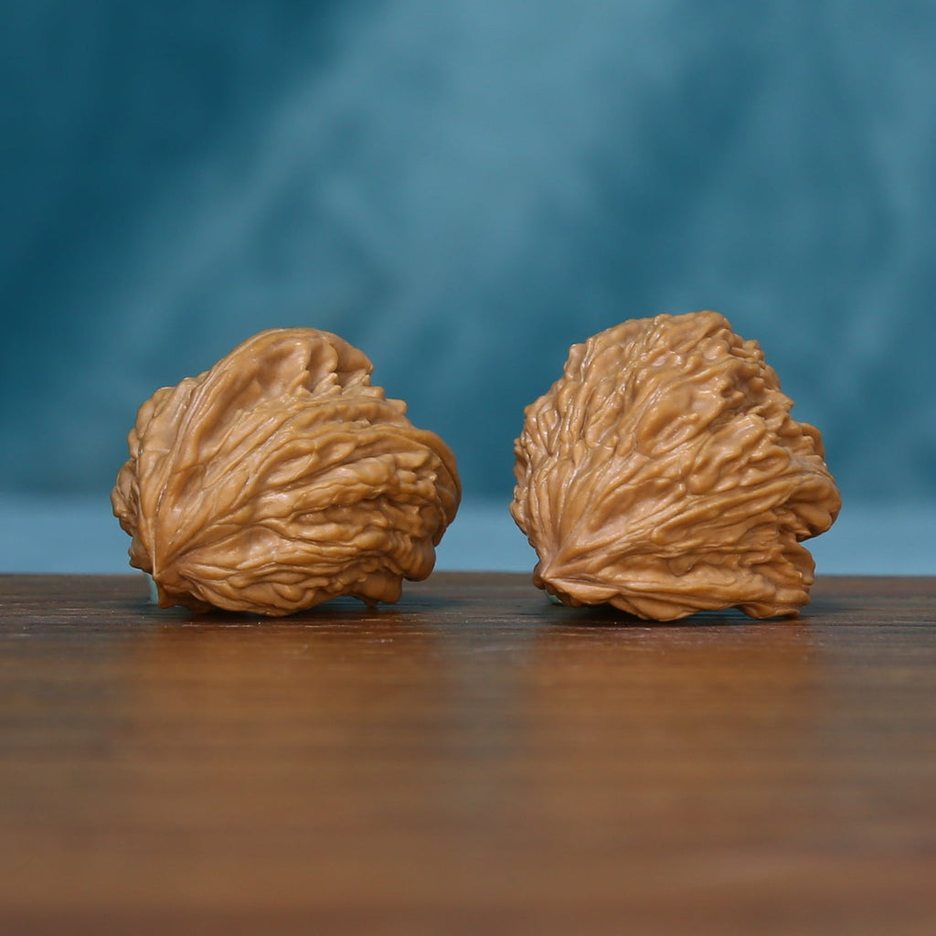 Pair of 1789 wenwan walnuts showing fan-like ridges from an angled view
