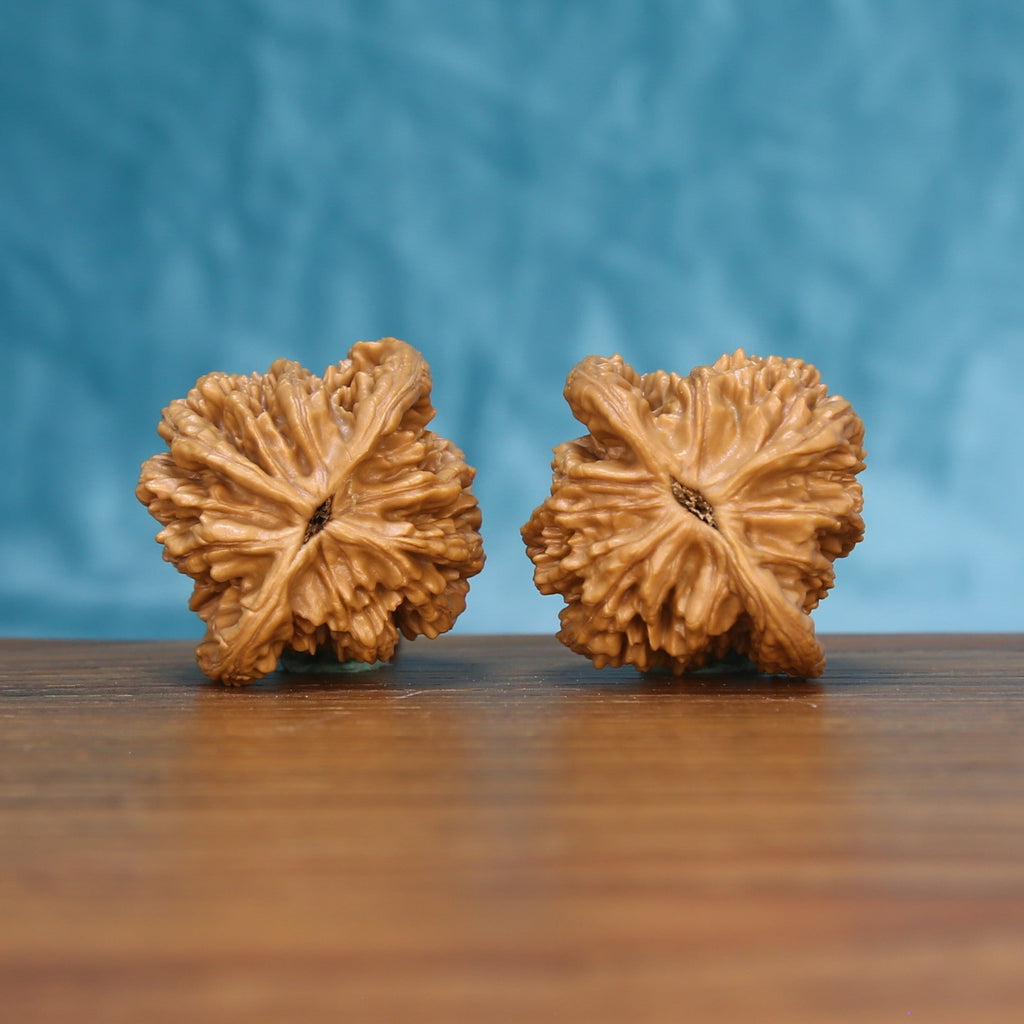 Bottom view of a matched Wheat Tiger Wenwan walnut pair showing natural base details
