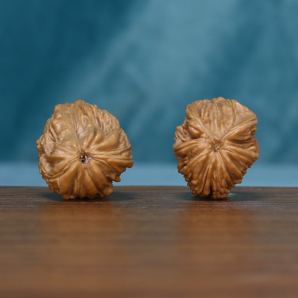 End view of two 1789 wenwan walnuts with radiating natural grooves
