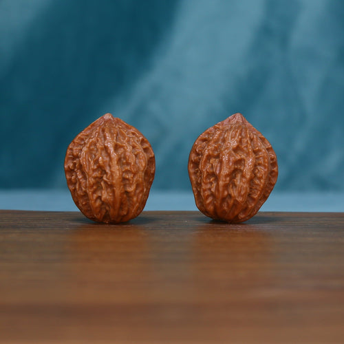 Pair of small 244 wenwan walnuts standing upright with raised grooves

