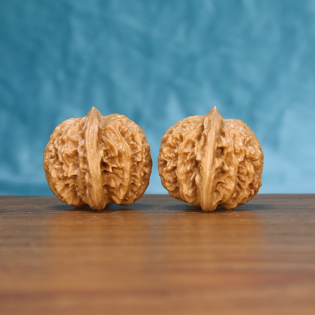 Three-quarter view of two Coiling Dragon Wenwan walnuts showing detailed shell texture
