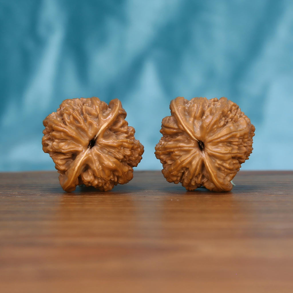 Wu-Ming wild walnut pair bottom view on wood – natural nameless wild base pattern, Silent Enigma premium set