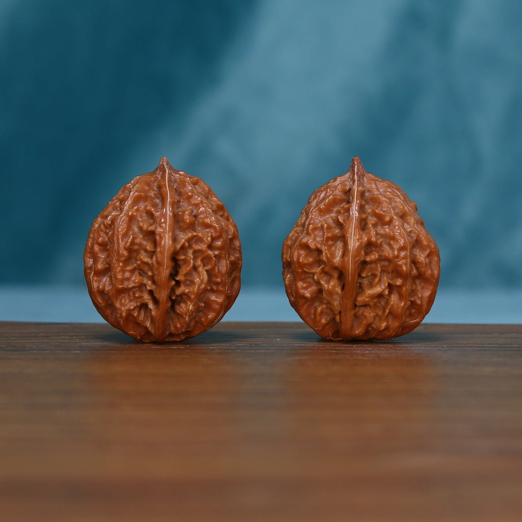 Front view of two 244 wenwan walnuts with prominent central ridges
