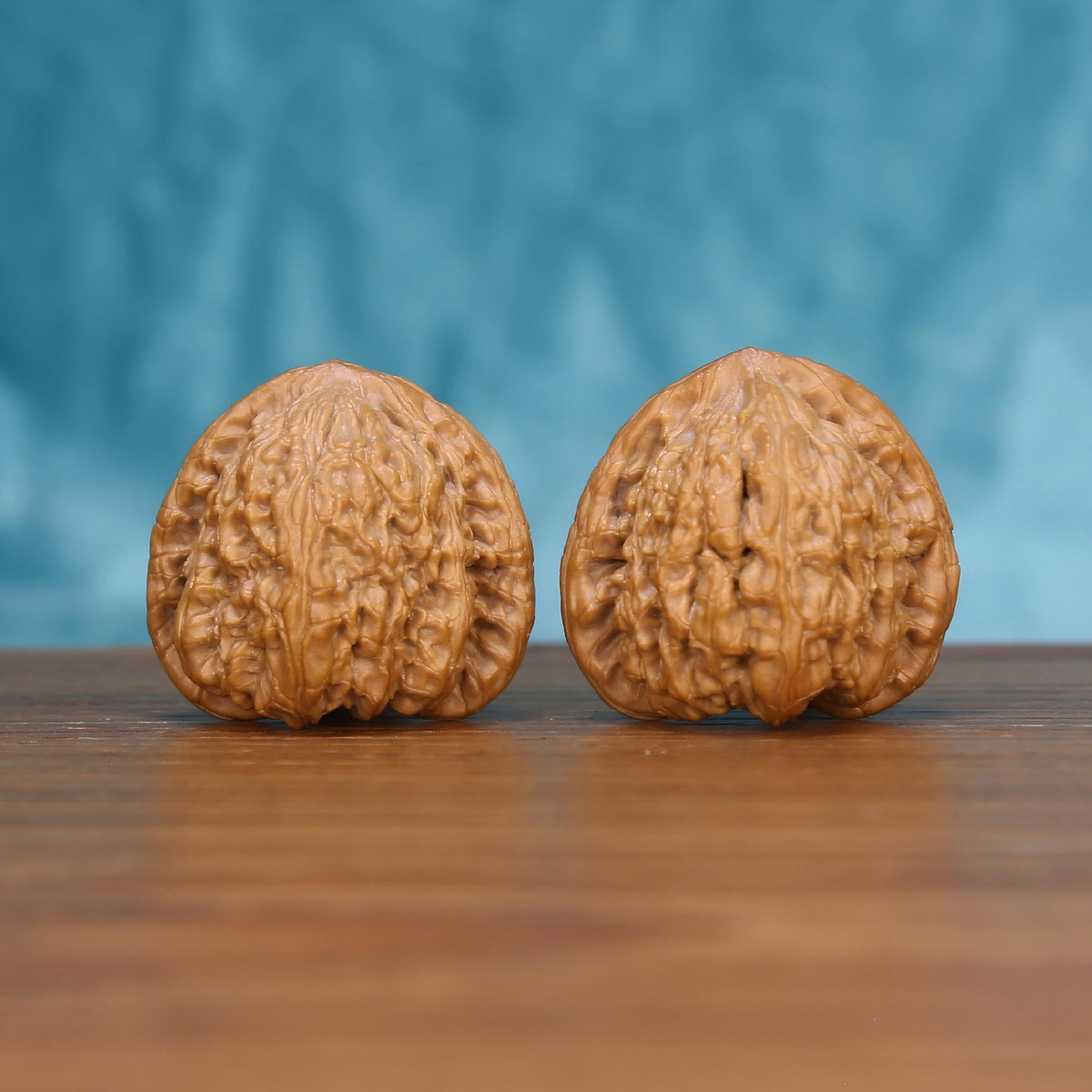  Two Wu-Ming wenwan walnuts on wooden surface, blue fabric background – matching awakening sphere nameless set