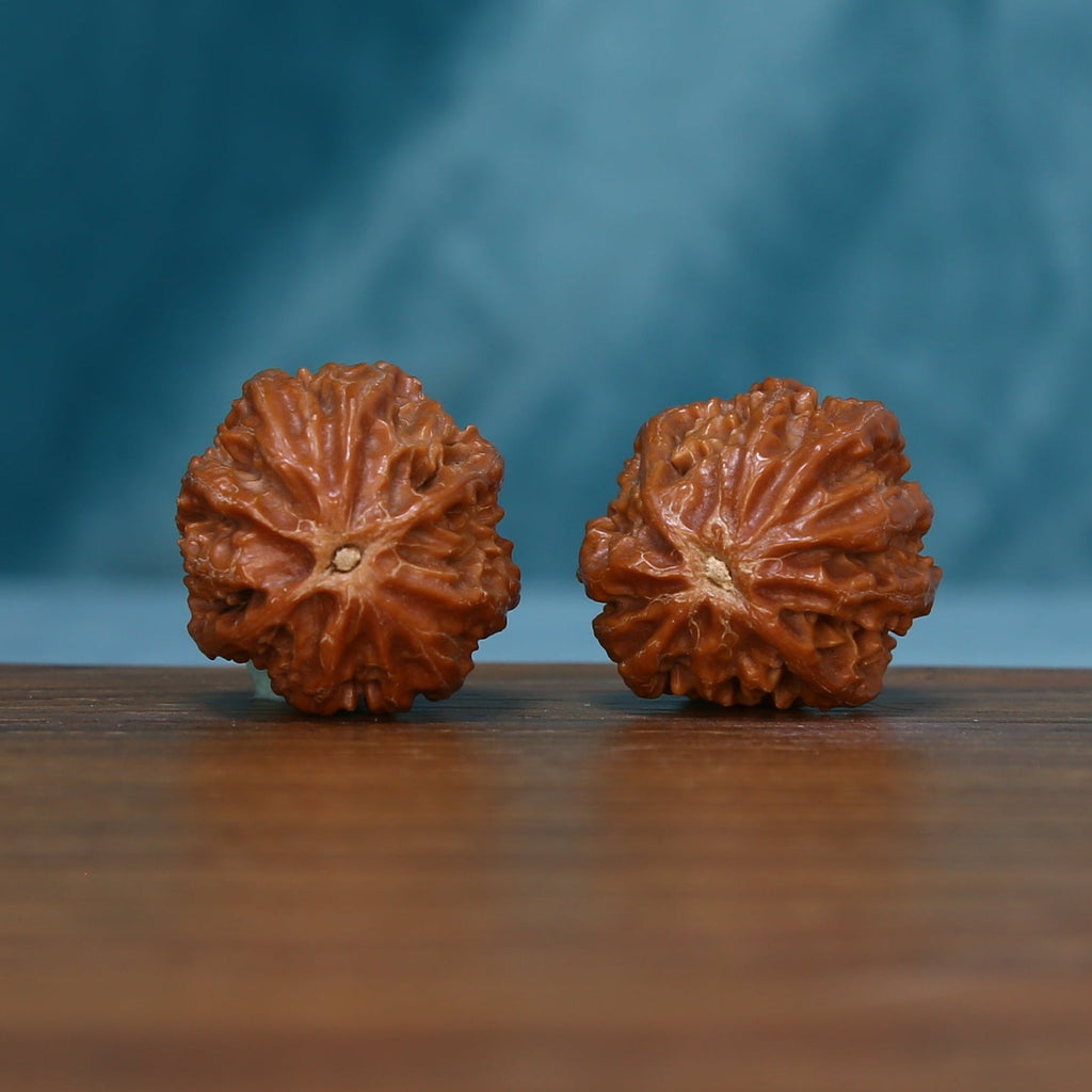 Alternate end view of the 244 wenwan walnut pair
